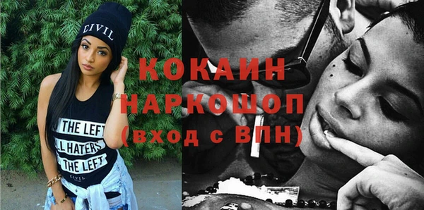 хмурый Алексин