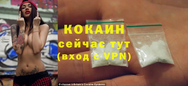 хмурый Алексин