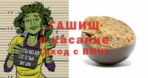 хмурый Алексин