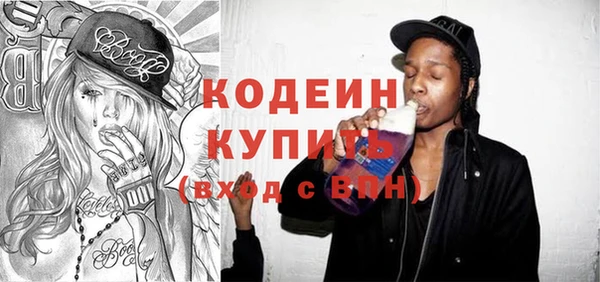 хмурый Алексин