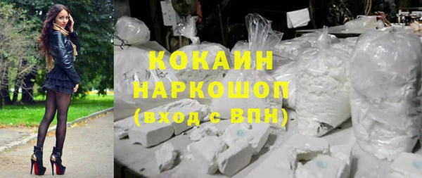 хмурый Алексин