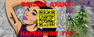 сатива Кингисепп