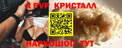 сатива Кингисепп