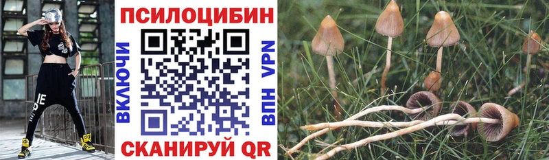 Псилоцибиновые грибы GOLDEN TEACHER  Мичуринск 