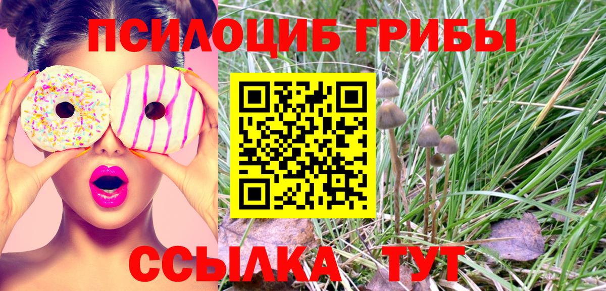 Псилоцибиновые грибы Magic Shrooms Мичуринск